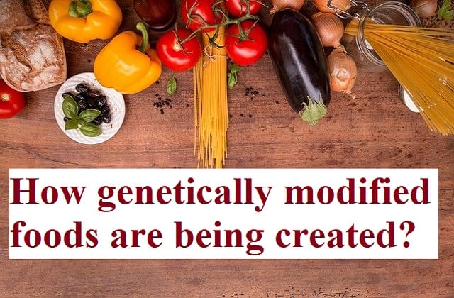 essay about advantages and disadvantages of genetically modified food