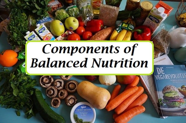 What Is A Balanced Diet? Food List, Components And Importance - Healthy ...